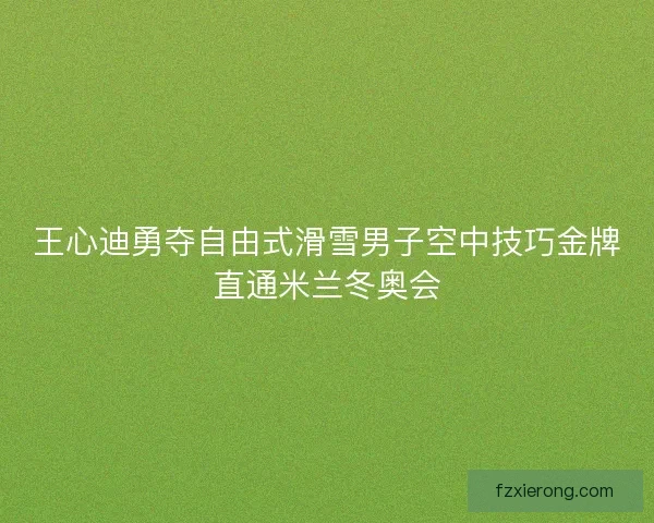 王心迪勇夺自由式滑雪男子空中技巧金牌直通米兰冬奥会